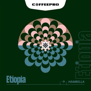 Kawa ziarnista CoffeePro Etiopia Hambella 250g - NIEDOSTĘPNY - opinie w konesso.pl