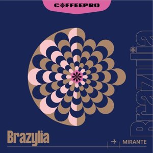 Kawa ziarnista CoffeePro Brazylia Mirante 250g - NIEDOSTĘPNY - opinie w konesso.pl
