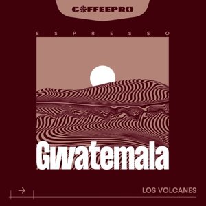 Kawa ziarnista CoffeePro Espresso Gwatemala Los Volcanes 1kg - NIEDOSTĘPNY - opinie w konesso.pl