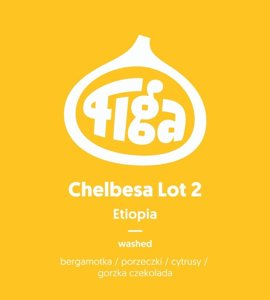 Kawa ziarnista Figa Coffee Etiopia Chelbesa Lot 2 Washed 250g - NIEDOSTĘPNY - opinie w konesso.pl