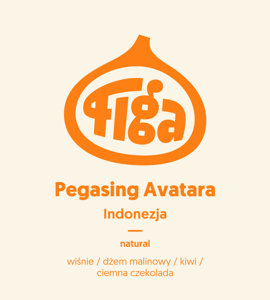 Kawa ziarnista Figa Coffee Indonezja Pegasing Avatara Natural 250g - opinie w konesso.pl