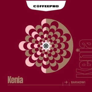 Kawa ziarnista CoffeePro Kenia Baragwi Filtr 250g - NIEDOSTĘPNY - opinie w konesso.pl