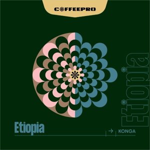 Kawa ziarnista CoffeePro Etiopia Konga 250g - NIEDOSTĘPNY - opinie w konesso.pl