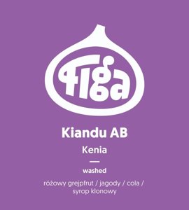 Kawa ziarnista Figa Coffee Kenia Kiandu AB Washed FILTR 250g - NIEDOSTĘPNY - opinie w konesso.pl