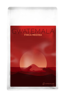Kawa ziarnista COFFEE PLANT Gwatemala Finca Medina 250g  - NIEDOSTĘPNY - opinie w konesso.pl