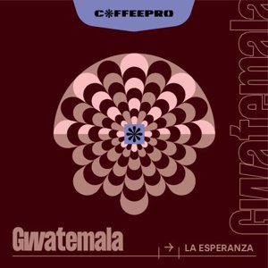 Kawa ziarnista CoffeePro Gwatemala La Esperanza 250g - NIEDOSTĘPNY - opinie w konesso.pl