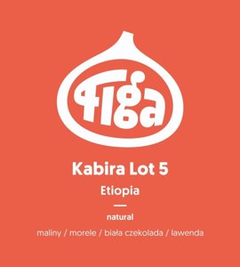 Kawa ziarnista Figa Coffee Etiopia Kabira Lot 5 Natural 250g - NIEDOSTĘPNY - opinie w konesso.pl