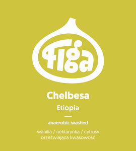 Kawa ziarnista Figa Coffee Etiopia Chelbesa Anaerobic Washed 250g - NIEDOSTĘPNY - opinie w konesso.pl