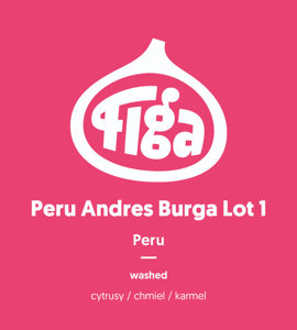 Kawa ziarnista Figa Coffee Peru Adres Burga Lot 1 250g - NIEDOSTĘPNY - opinie w konesso.pl