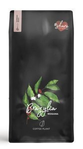 Kawa ziarnista COFFEE PLANT Brazylia Mogiana 1kg - opinie w konesso.pl