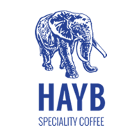 Logo Hayb