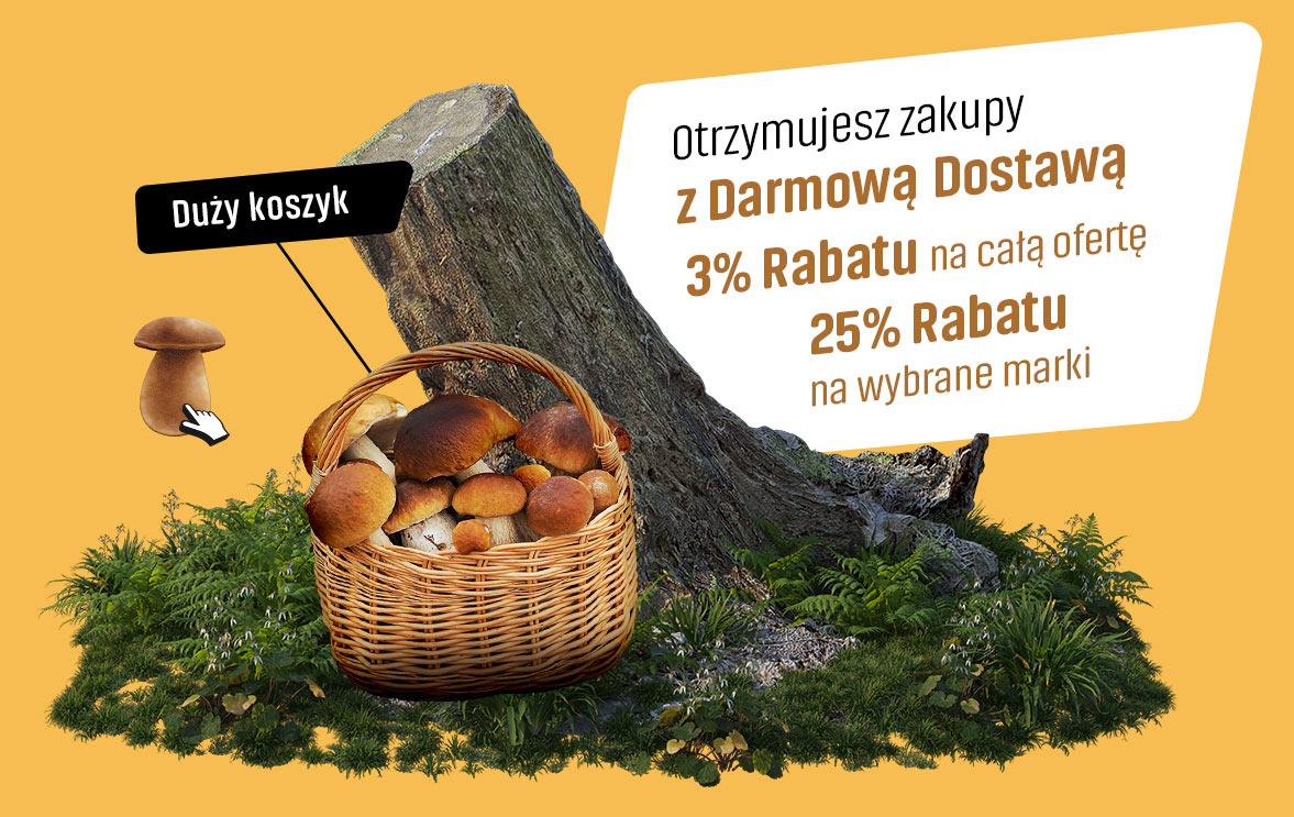Duży koszyk z Grzybami