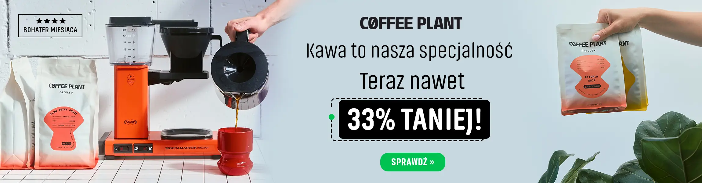 Palarnia kawy Coffee plant - teraz nawet 33% Taniej