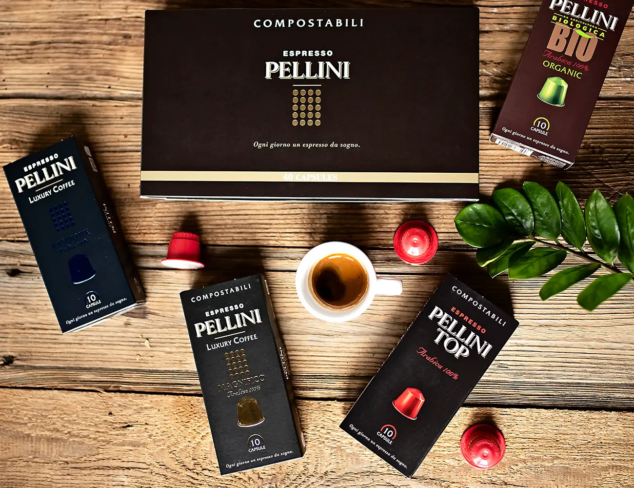 
                        Kawa w kapsułkach Pellini