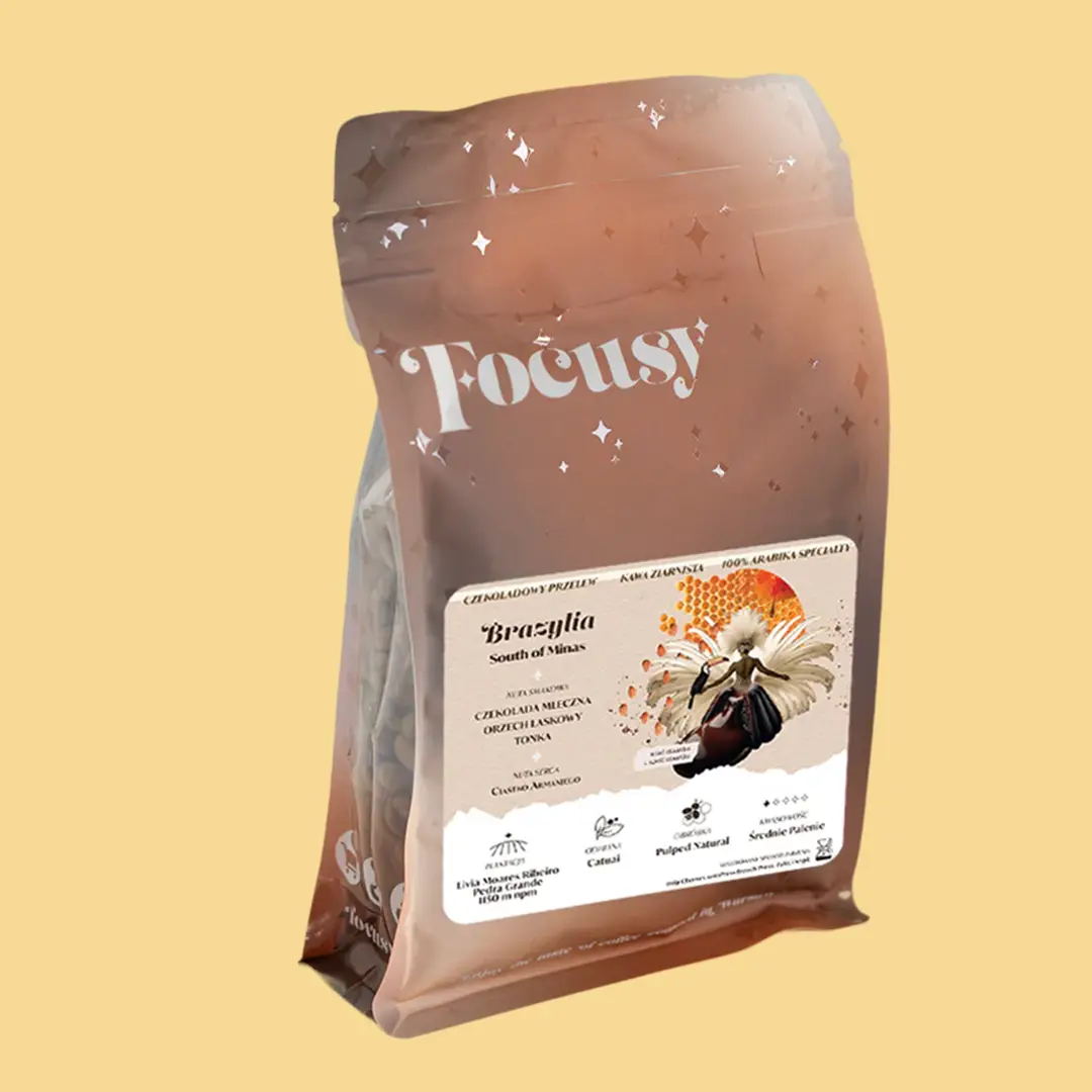 Kawa ziarnista Focusy BRAZYLIA SOUTH OF MINAS - czekoladowy przelew 250g