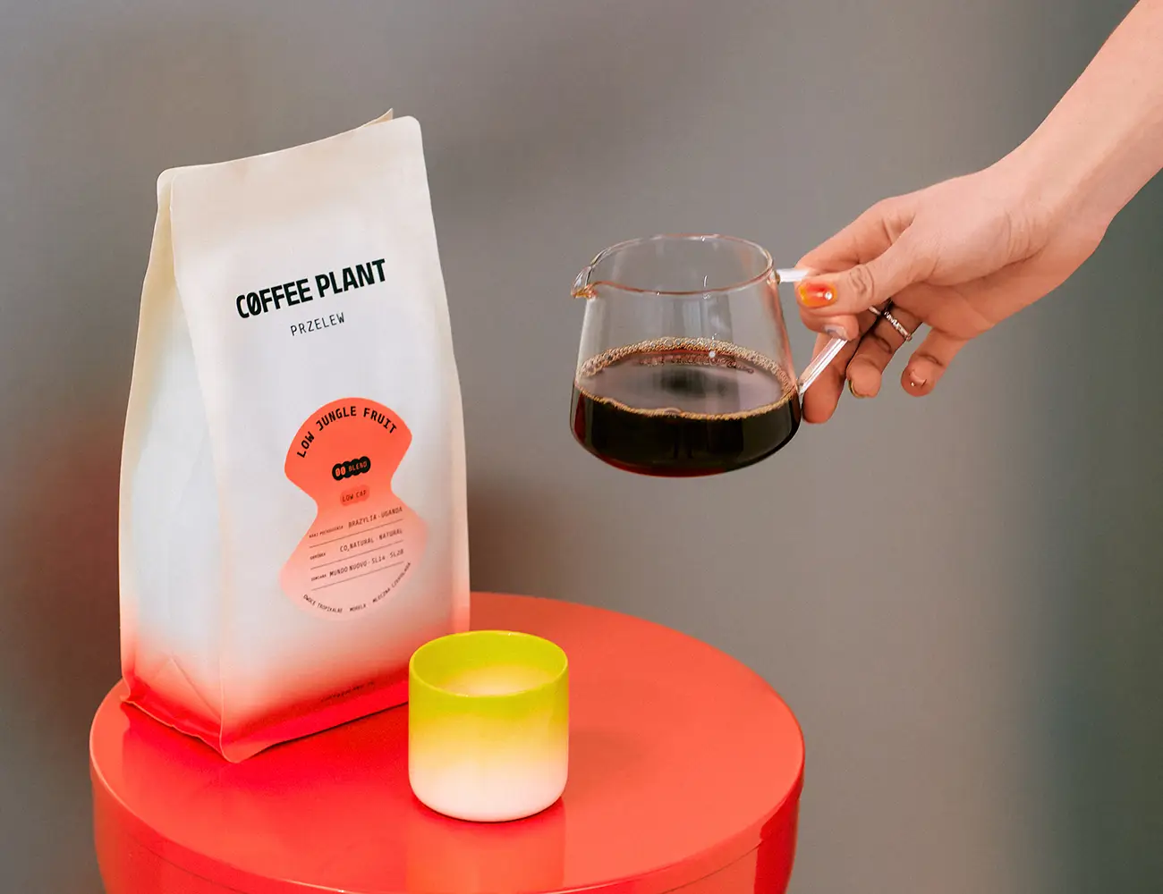 Kawy Coffee plant pod przelewy