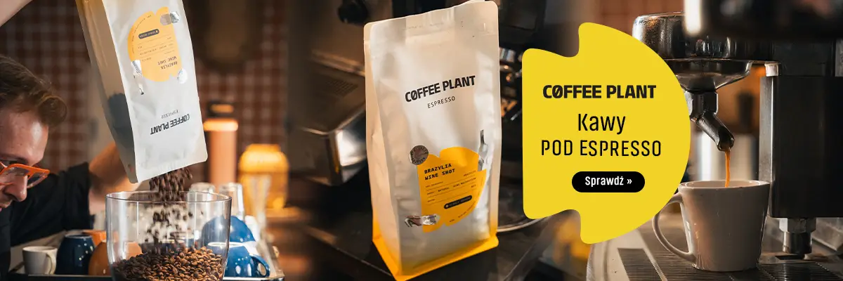 KAWY COFFEE PLANT pod espresso