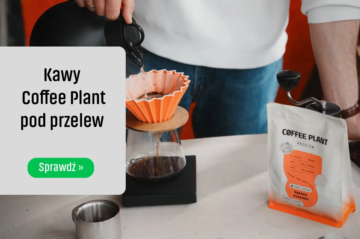 Kawy Coffee Plant pod przelew