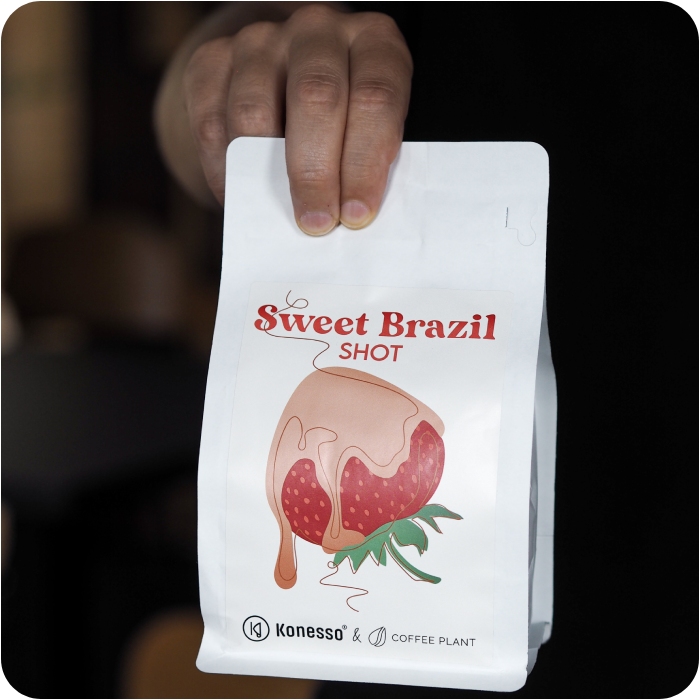 COFFEE PLANT Sweet Brazil Shot