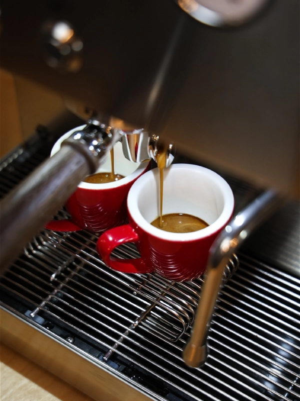 Espresso w ekspresie kolbowym Lelit Elizabeth3 PL92T3