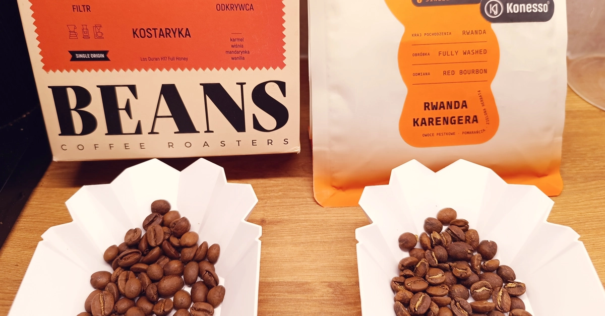 Młynek do przelewowych metod parzenia - Wilfa Evo