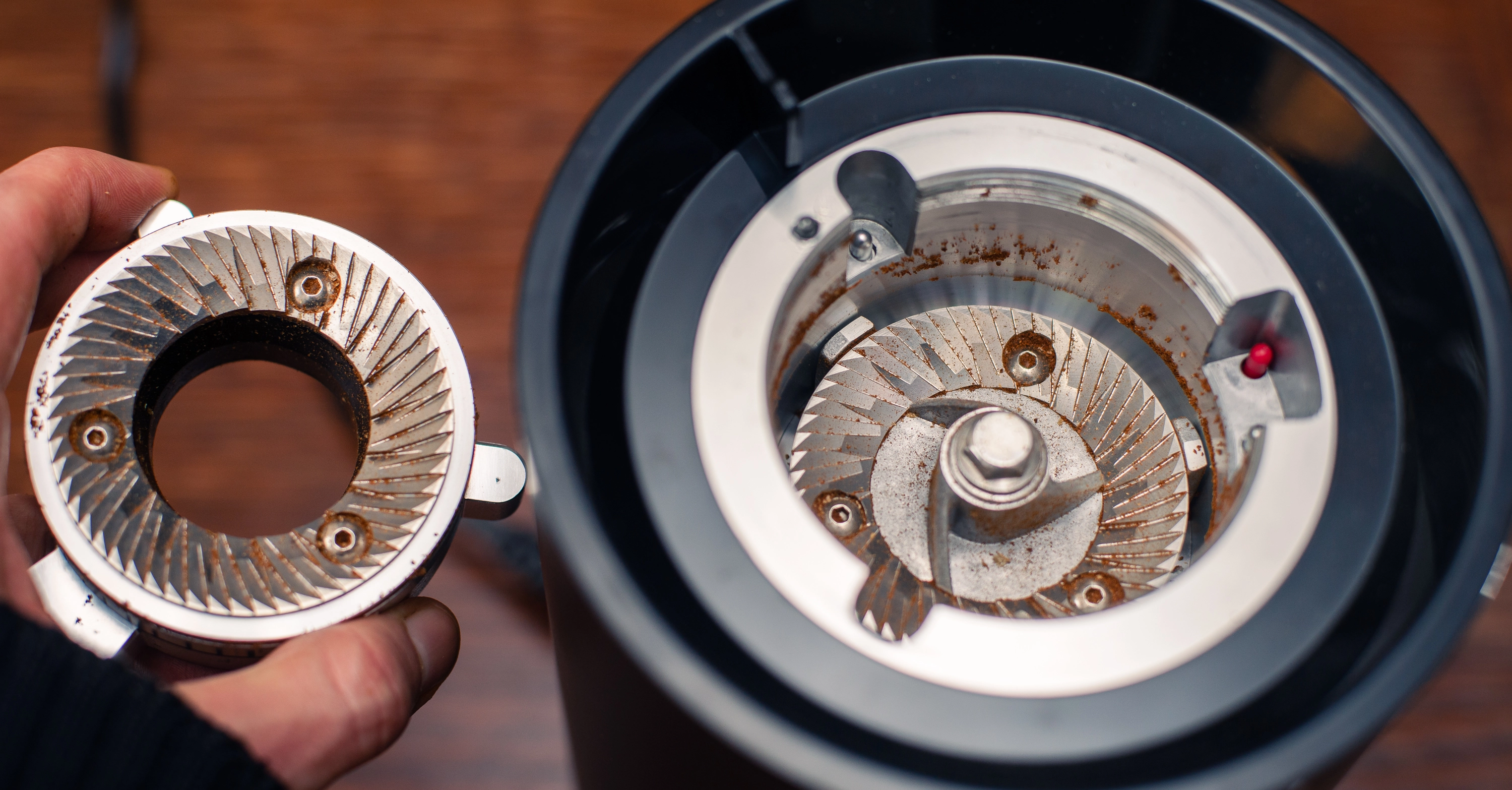 Mielenie do kolby w młynku Wilfa Evo