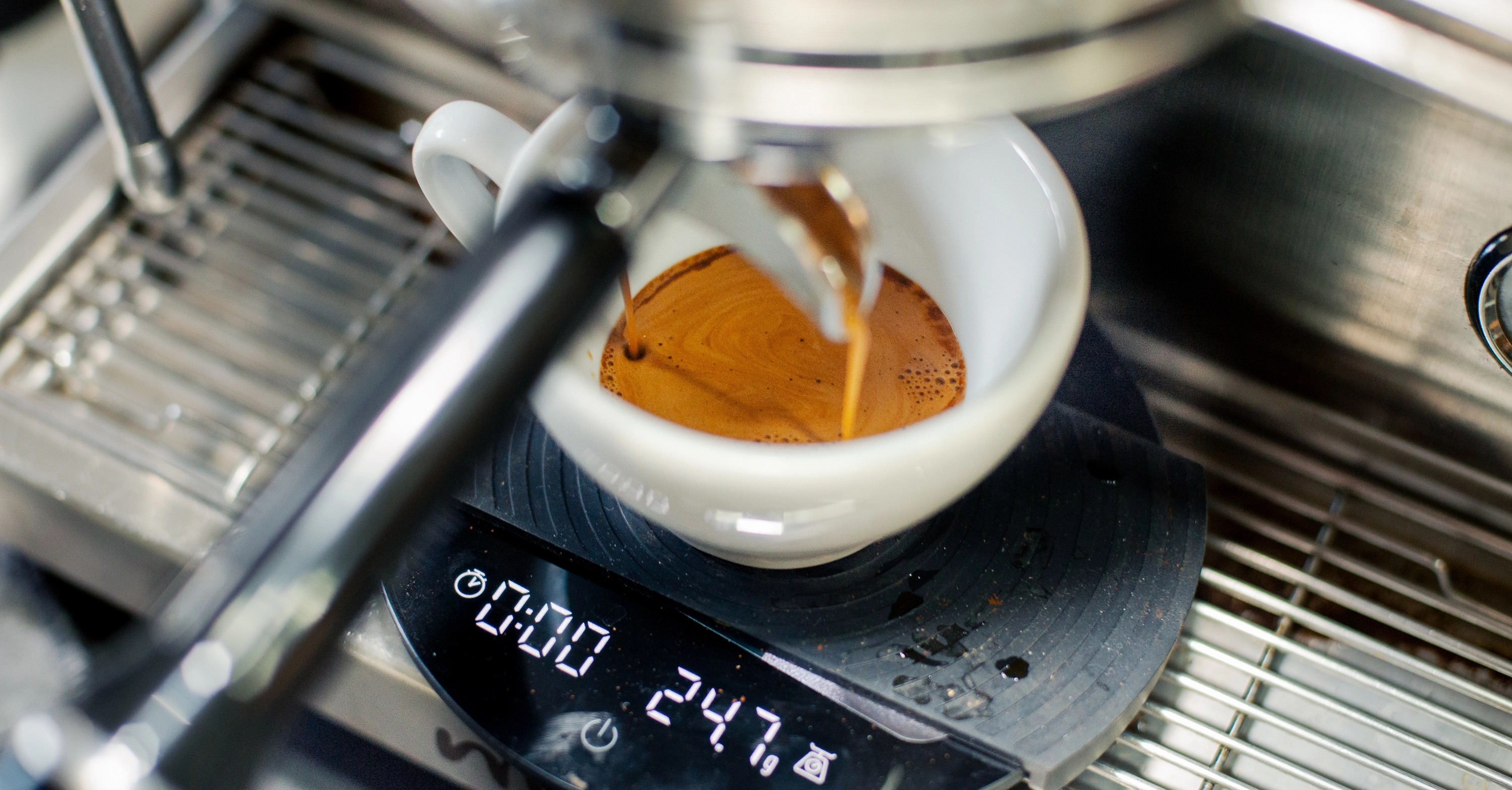 Waga w młynku Wilfa Evo