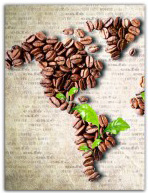 Uprawa każdego gatunku kawy wymaga specjalnych warunków klimatrycznych