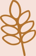 Naturalne składniki