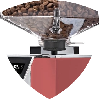 Burrs Distance Detection System