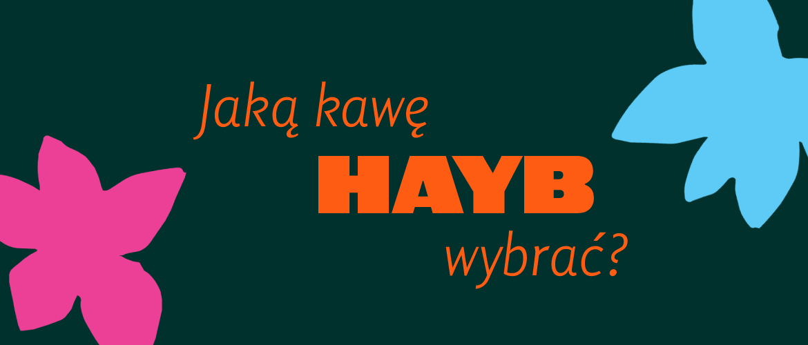 jaka kawe hayb wybrac