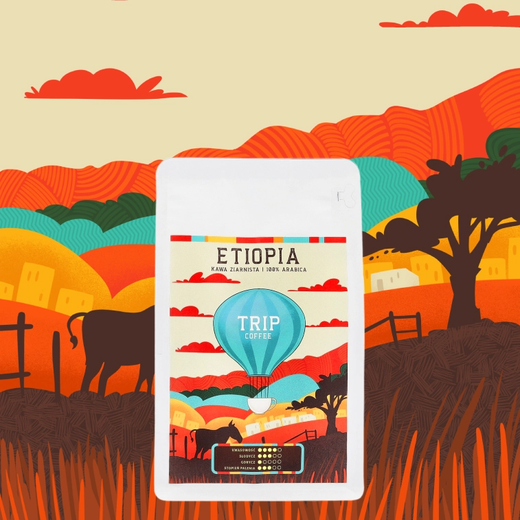 Kawa Trip