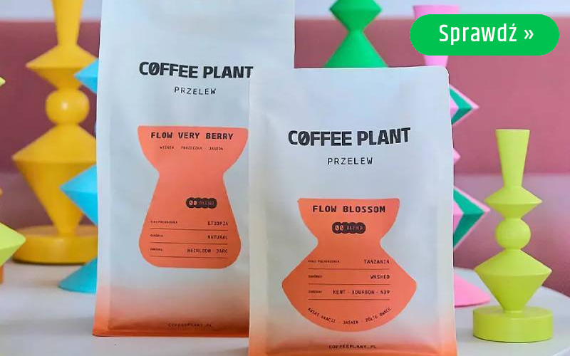 Kawy COFFEE PLANT