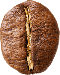 Robusta ziarno kawy