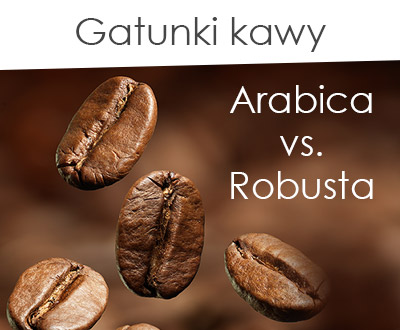 Gatunki, odmiany kawy: ARABIKA ROBUSTA
