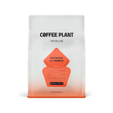 Kawa ziarnista COFFEE PLANT Kostaryka La Promesa 250g – NIEDOSTĘPNY