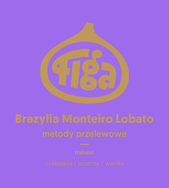Kawa ziarnista Figa Coffee Brazylia Monteiro Lobato Natural FILTR 250g – NIEDOSTĘPNY