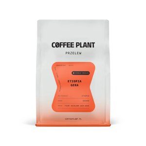 Kawa ziarnista COFFEE PLANT Etiopia Gera Filtr 250g – NIEDOSTĘPNY