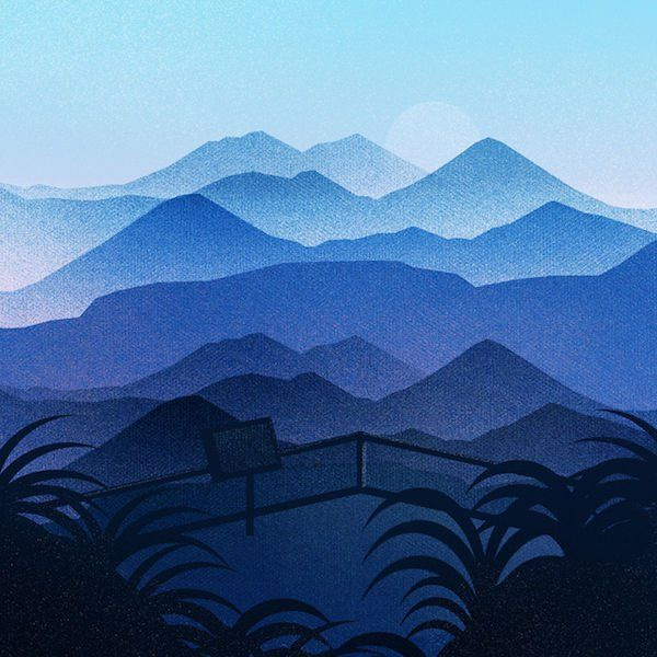 Kawa ziarnista Butterworth & Son Guatemala el Bordo 250g - NIEDOSTĘPNY 