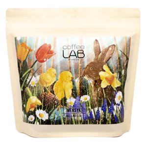 Kawa ziarnista Coffeelab Meksyk Bellavista X KASIA KOZAKIEWICZ 250g - NIEDOSTĘPNY