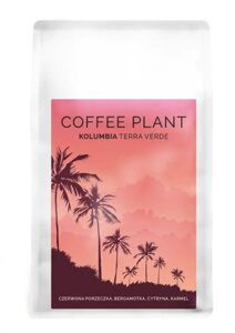 Kawa ziarnista COFFEE PLANT Kolumbia Terra Verde 250g - NIEDOSTĘPNY - opinie w konesso.pl