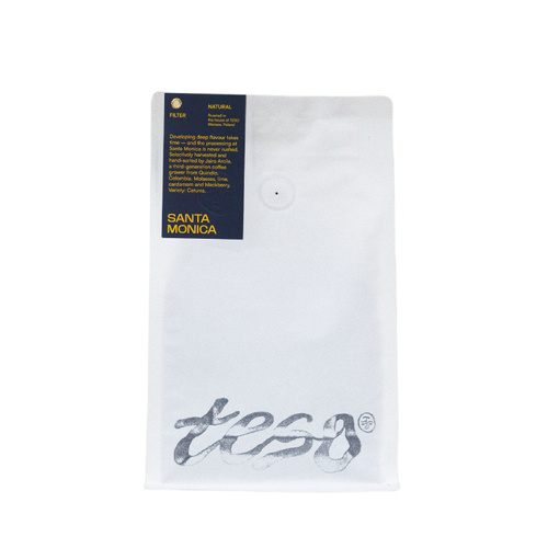 Kawa ziarnista Teso Kolumbia Santa Monica Filtr 250g