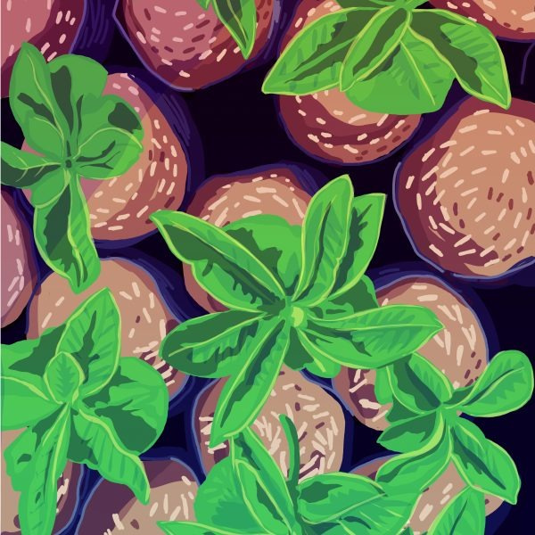 Kawa ziarnista Butterworth & Son Costa Rica Honey 250g - NIEDOSTĘPNY 