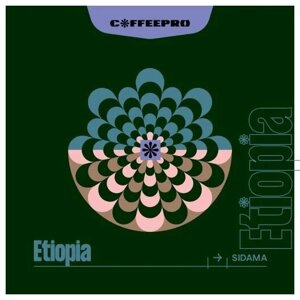 Kawa ziarnista CoffeePro Etiopia Sidama 250g