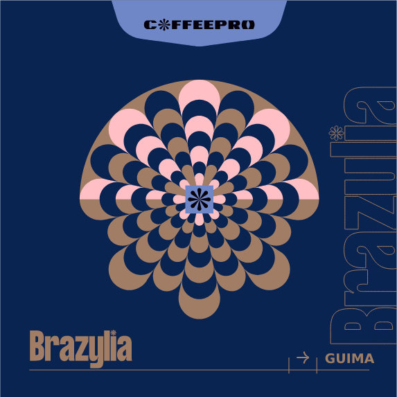 Kawa ziarnista CoffeePro Brazylia Guima 250g - NIEDOSTĘPNY