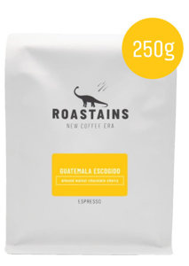 Kawa ziarnista Roastains Gwatemala Escogido ESPRESSO 250g – NIEDOSTĘPNY