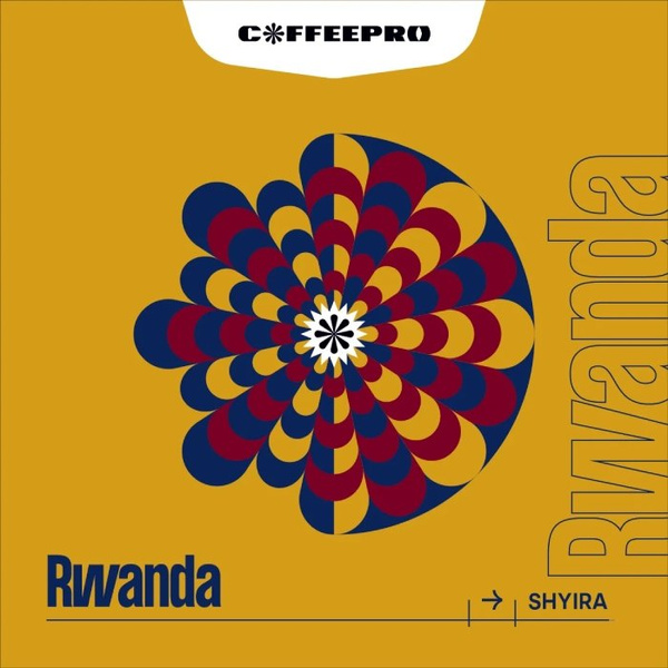 Kawa ziarnista CoffeePro Rwanda Shyira 250g - NIEDOSTĘPNY