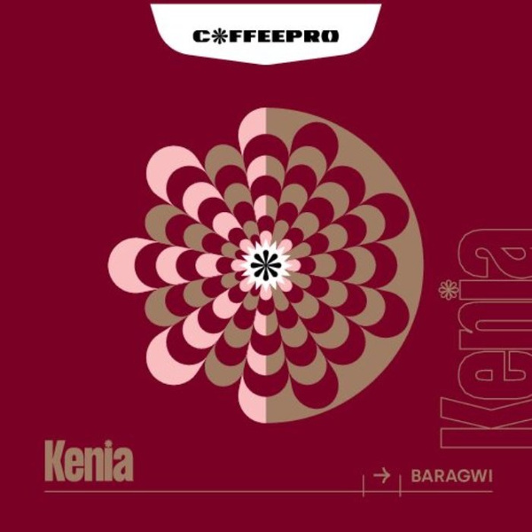 Kawa ziarnista CoffeePro Kenia Baragwi Filtr 250g - NIEDOSTĘPNY