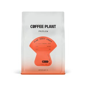 Kawa ziarnista COFFEE PLANT FLOW Juicy Fruit 800g - opinie w konesso.pl