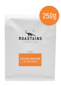 Kawa ziarnista Roastains Kostaryka Quick Hook FILTR 250g  - opinie w konesso.pl